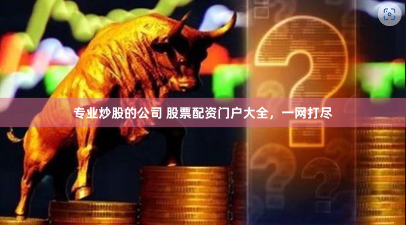 专业炒股的公司 股票配资门户大全，一网打尽