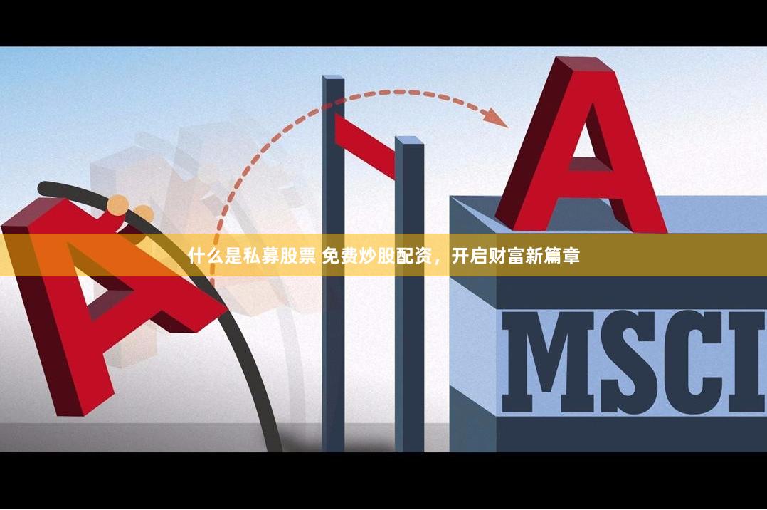 什么是私募股票 免费炒股配资，开启财富新篇章