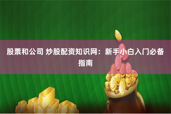 股票和公司 炒股配资知识网：新手小白入门必备指南